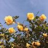 kathryng24